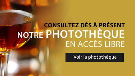 Consultez dès à présent notre photothèque en accès libre